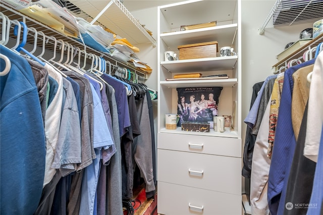 view of spacious closet