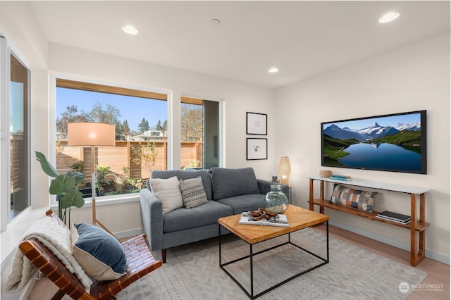 living room featuring light hardwood / wood-style flooring