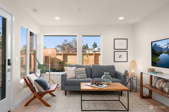 living room with plenty of natural light and light hardwood / wood-style floors