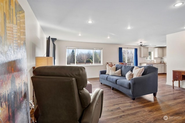 living room with hardwood / wood-style floors