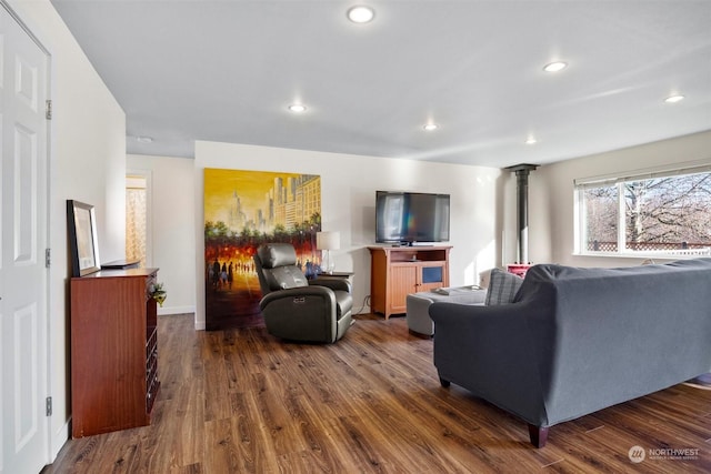 living room featuring dark hardwood / wood-style flooring