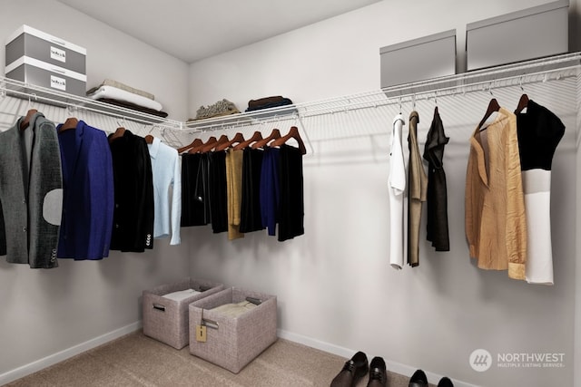 spacious closet with carpet flooring