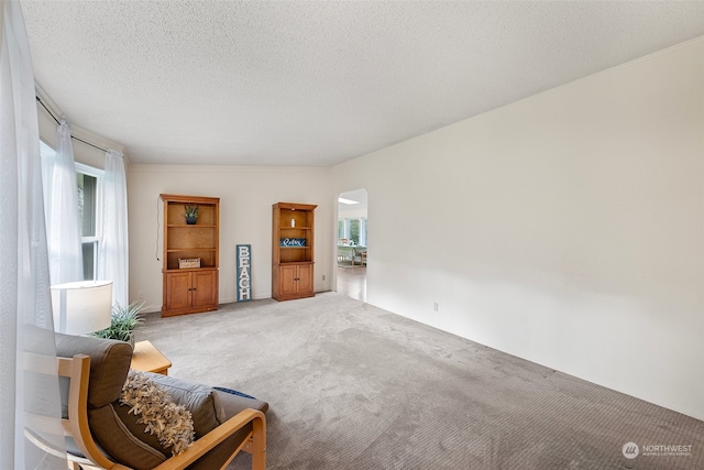 interior space featuring light colored carpet and a textured ceiling