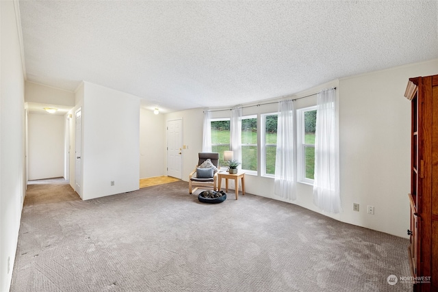 unfurnished room featuring a textured ceiling and light colored carpet