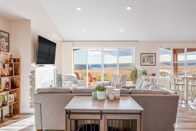 living room with light hardwood / wood-style floors and vaulted ceiling