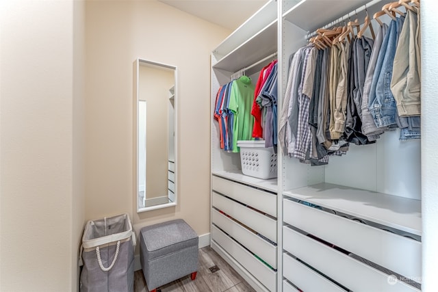 view of spacious closet