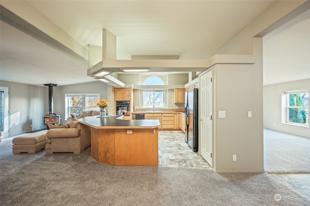 kitchen featuring light carpet, stainless steel appliances, a wood stove, and plenty of natural light