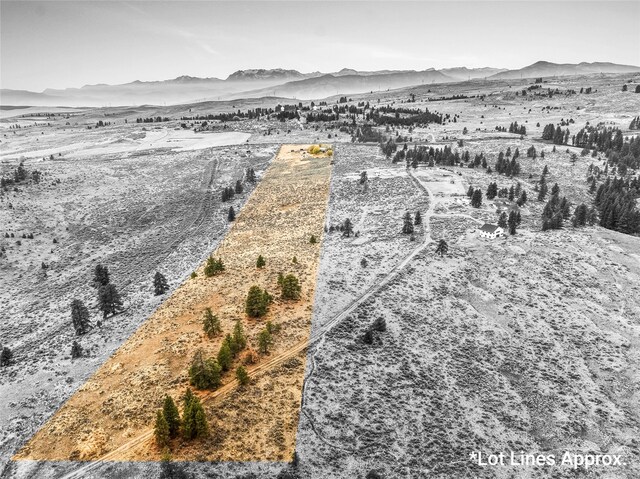 birds eye view of property with a mountain view