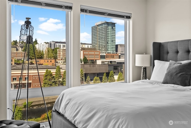 bedroom with multiple windows