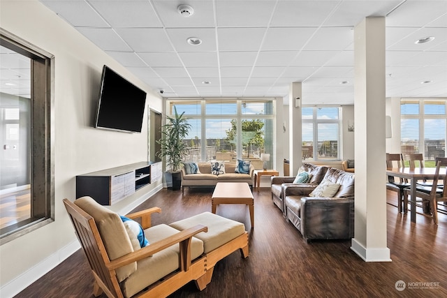 living room featuring floor to ceiling windows, dark hardwood / wood-style floors, and a drop ceiling