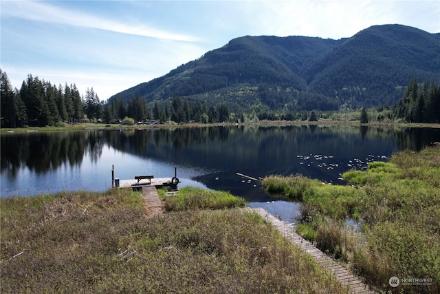 27525 W Lake Riley Rd, Arlington, WA 98223 - water view featuring a heavily wooded area, a mountain backdrop, and a boat dock
