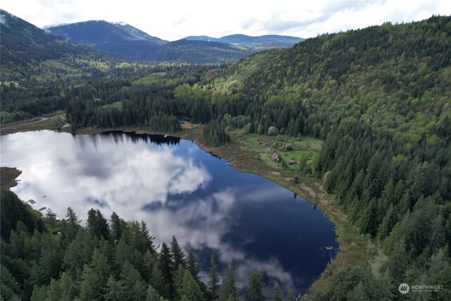 27525 W Lake Riley Rd, Arlington, WA 98223 - aerial view of a forest and a water and mountain view
