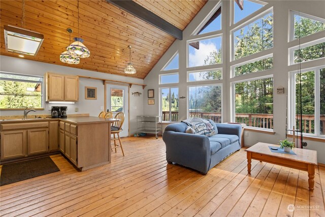 27525 W Lake Riley Rd, Arlington, WA 98223 - living room with high vaulted ceiling, light wood-type flooring, and wooden ceiling with exposed beams