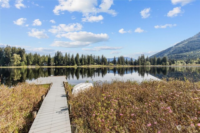 27525 W Lake Riley Rd, Arlington, WA 98223 - dock area featuring a water view and a view of trees