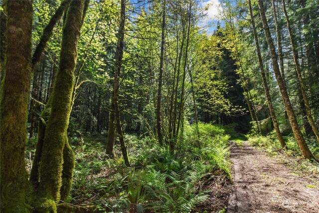 27525 W Lake Riley Rd, Arlington, WA 98223 - view of woods