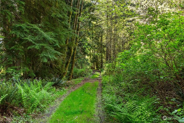 27525 W Lake Riley Rd, Arlington, WA 98223 - view of wooded area