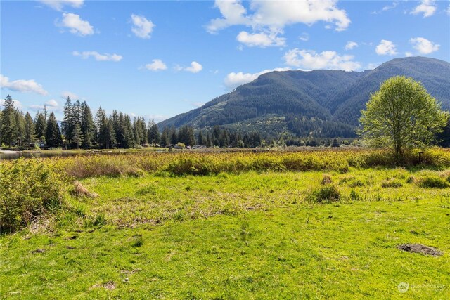27525 W Lake Riley Rd, Arlington, WA 98223 - view of mountain backdrop