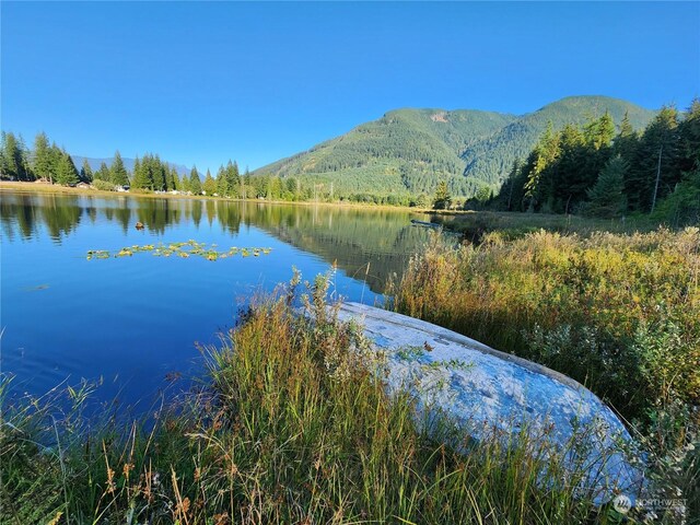 27525 W Lake Riley Rd, Arlington, WA 98223 - water view featuring mountains and a heavily wooded area
