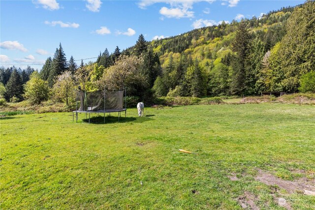 27525 W Lake Riley Rd, Arlington, WA 98223 - view of green lawn with a trampoline and a view of trees