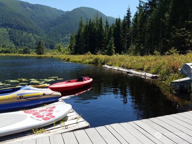 27525 W Lake Riley Rd, Arlington, WA 98223 - dock with a forest view and a water and mountain view