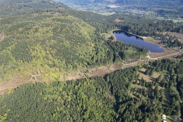 27525 W Lake Riley Rd, Arlington, WA 98223 - aerial view of property's location featuring a forest and a large body of water