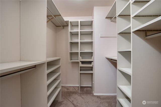 spacious closet featuring carpet flooring