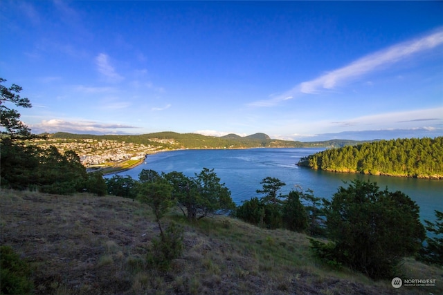 water view featuring a mountain view