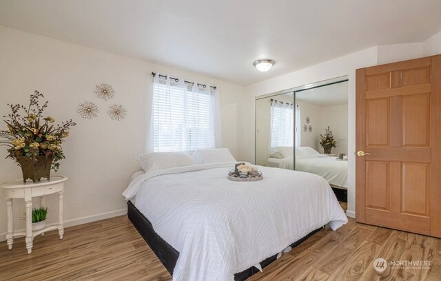 bedroom with hardwood / wood-style floors and a closet