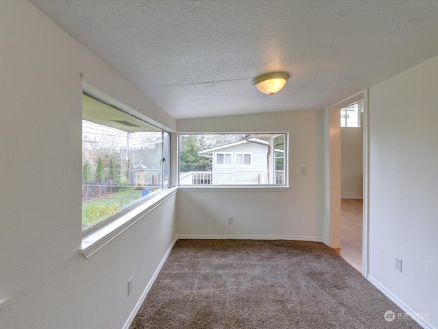 spare room featuring carpet floors and a textured ceiling