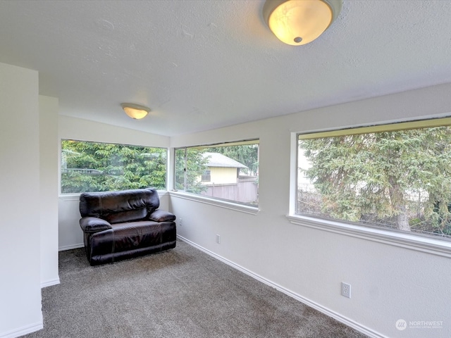 living area featuring carpet and a textured ceiling