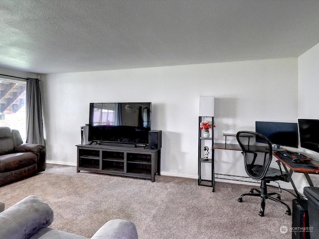 carpeted living room with a textured ceiling