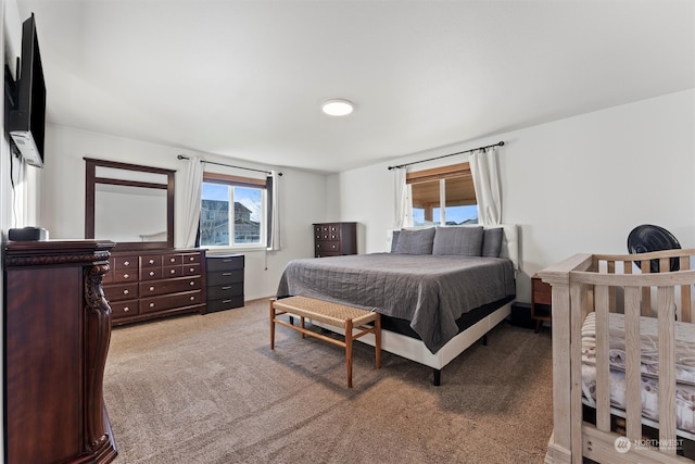 view of carpeted bedroom