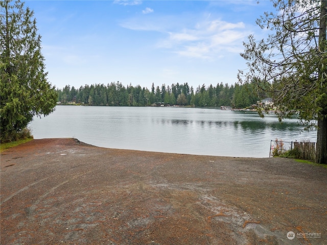 view of water feature