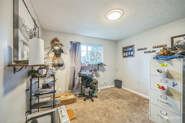 interior space featuring light colored carpet and a textured ceiling