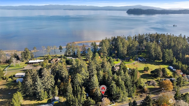 bird's eye view with a water and mountain view