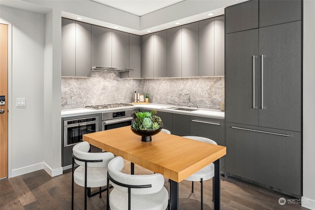 kitchen featuring decorative backsplash, stainless steel appliances, dark wood-type flooring, and sink