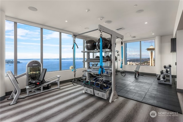 exercise room featuring a wealth of natural light, dark hardwood / wood-style flooring, and a water view