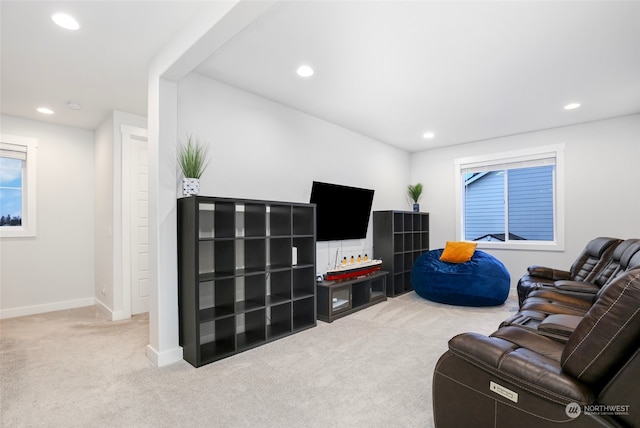 living room with light carpet