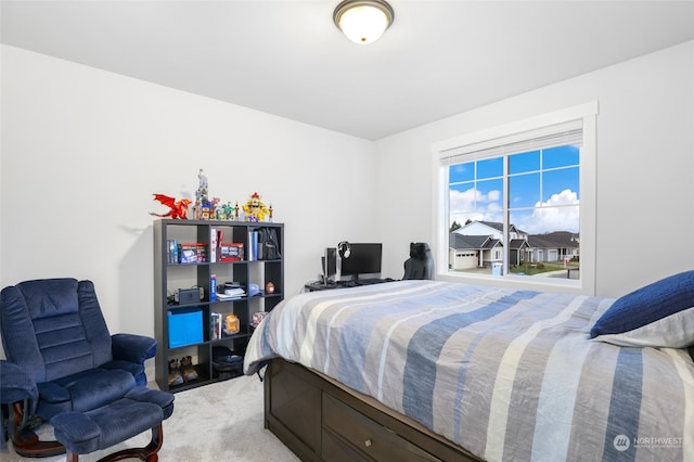 bedroom with carpet flooring