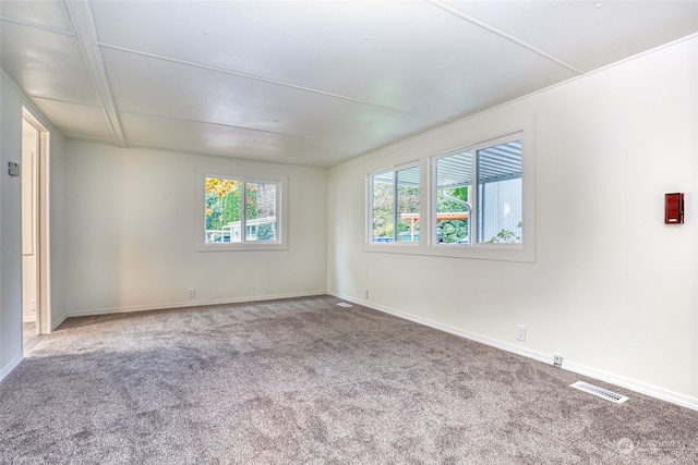 empty room with a healthy amount of sunlight and carpet floors