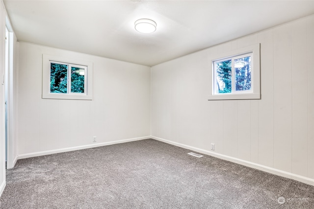 spare room featuring carpet flooring