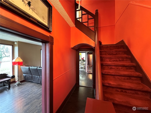 stairway with hardwood / wood-style flooring