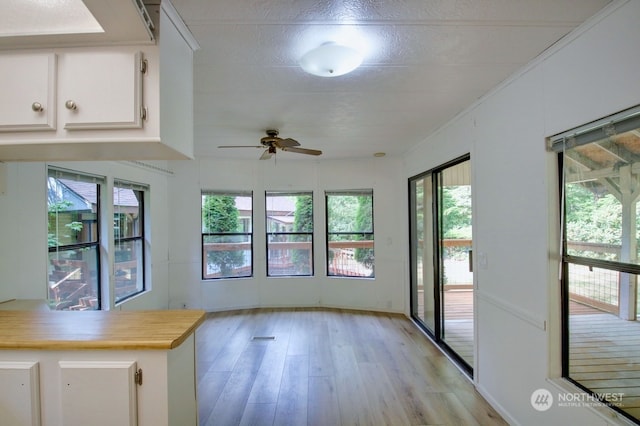 interior space with ceiling fan and light hardwood / wood-style floors