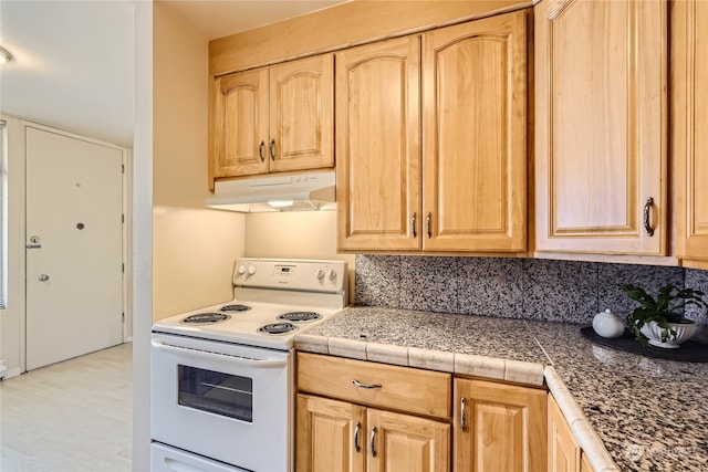 kitchen with electric range, light brown cabinetry, and tasteful backsplash