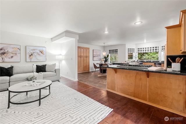 living room with dark hardwood / wood-style floors