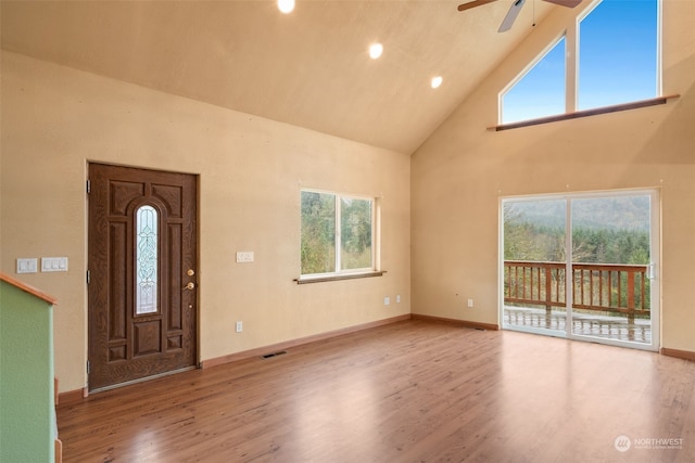 entrance foyer featuring hardwood / wood-style floors, high vaulted ceiling, and plenty of natural light