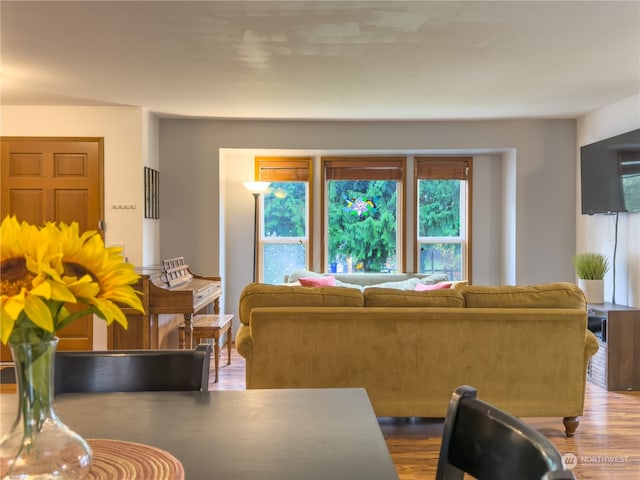 living room featuring hardwood / wood-style floors