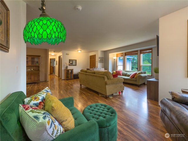 living room with dark hardwood / wood-style flooring