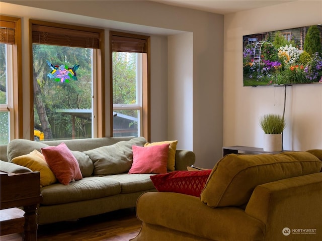 living room featuring hardwood / wood-style floors