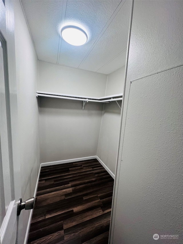 walk in closet featuring dark hardwood / wood-style flooring